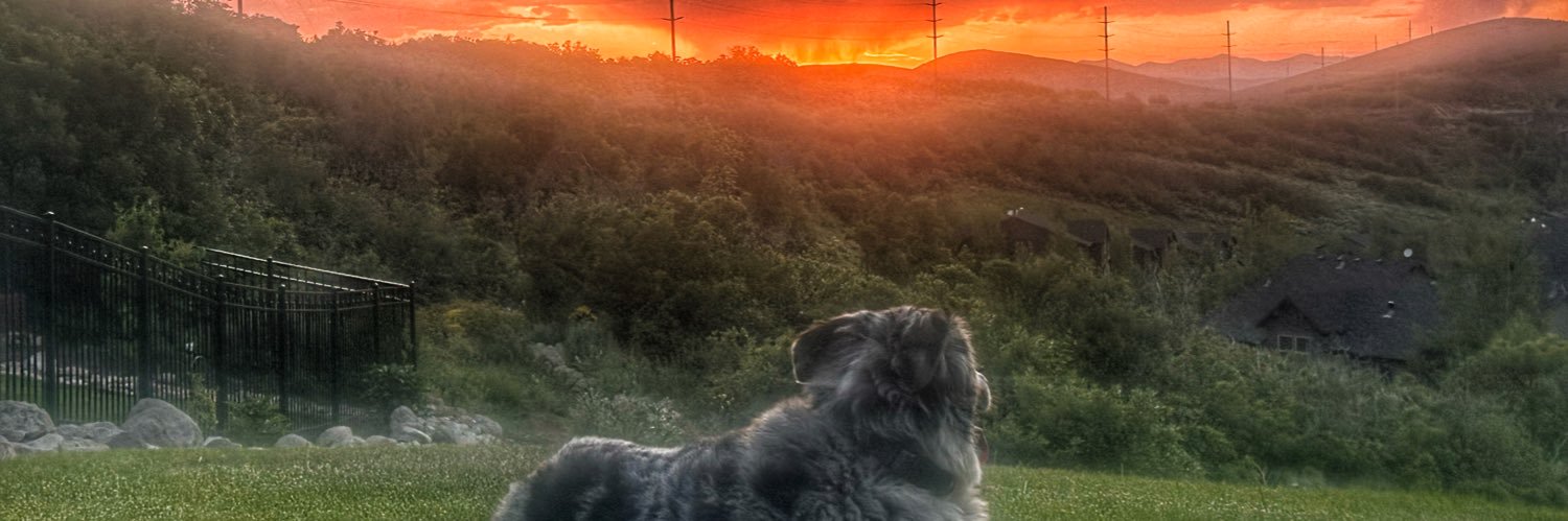 ginashack's profile banner image