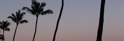 JAY_PUNG's profile banner image
