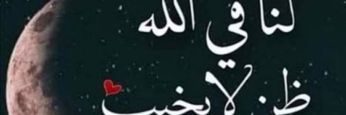 eidmosa's profile banner image
