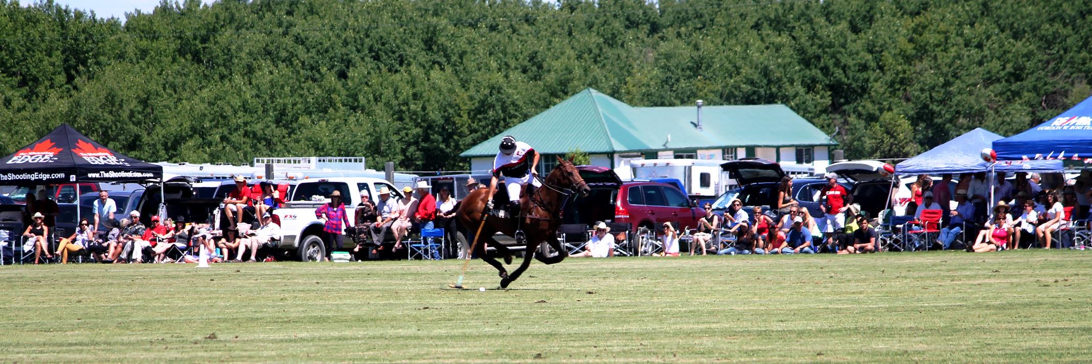 calgarypoloclub's profile banner image
