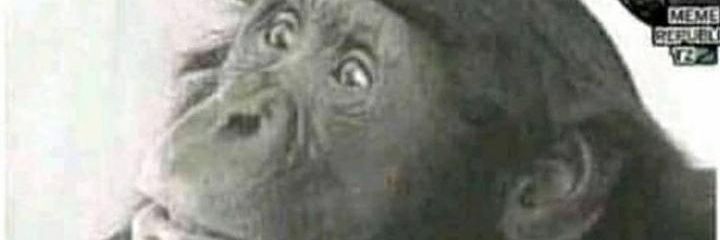HerryMasunga's profile banner image