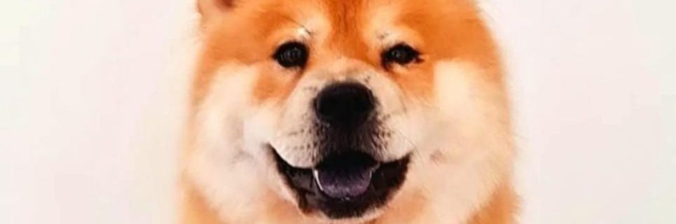 lali_a_a's profile banner image