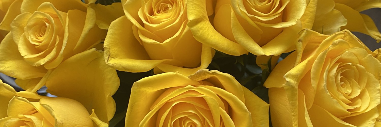 SarahJMC1's profile banner image