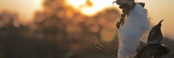 koolskoolsUK Profile Banner