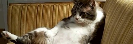 chowsamihq's profile banner image