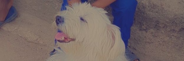 yemite89's profile banner image