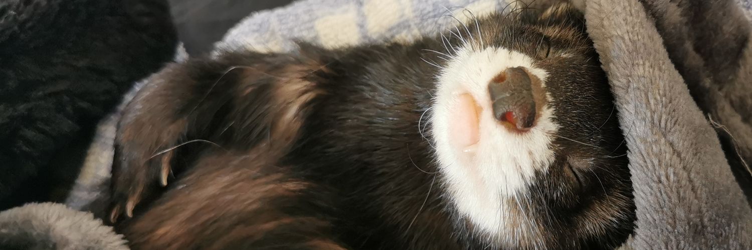 MelleLhun's profile banner image