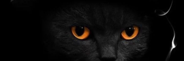 Iammo_6's profile banner image