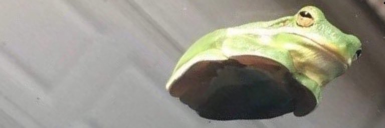 MFerrigan7's profile banner image