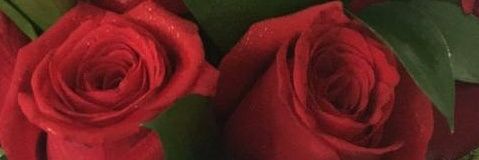 danivrosas's profile banner image