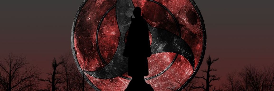 skullife2's profile banner image