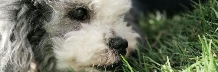 Mariaacamilasc's profile banner image