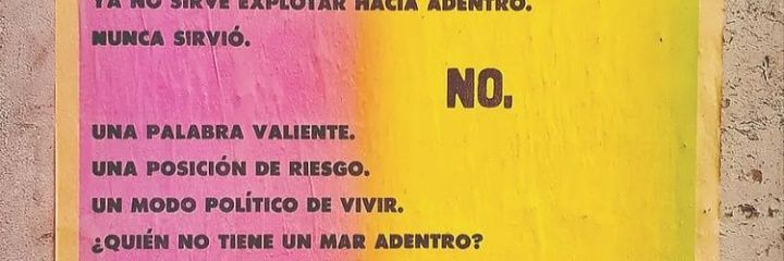 Alejandra Aracri⁷ banner