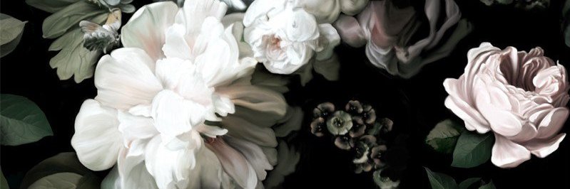 TetrelMarie's profile banner image