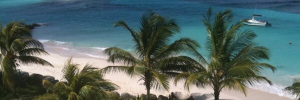 SidBoggle Profile Banner