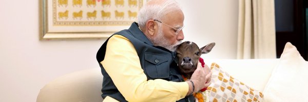 pavitrasachdeva Profile Banner