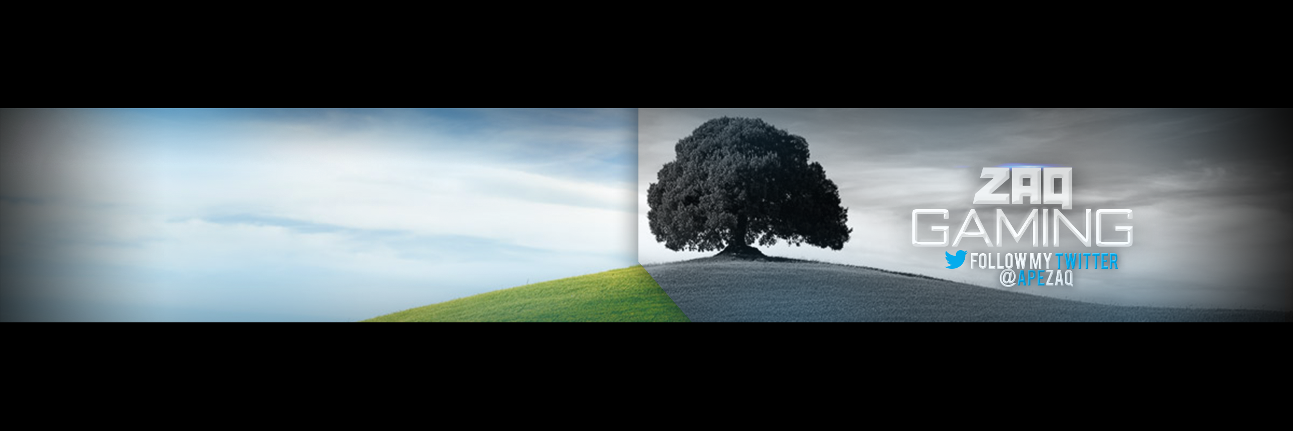 ZaqGaming's profile banner image