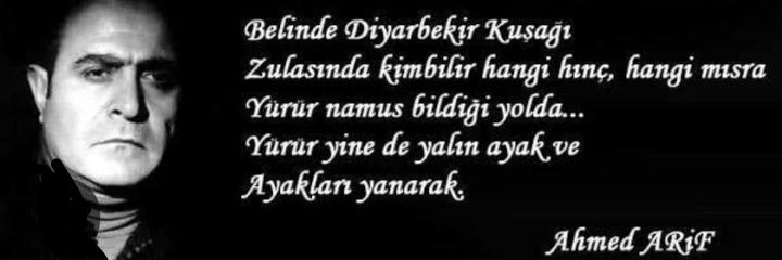 M.Ş.A. banner