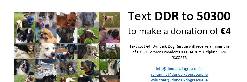 Dundalk Dog Rescue banner