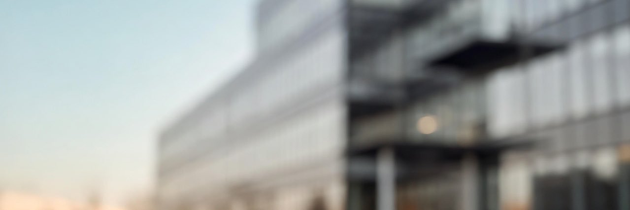 merybela's profile banner image