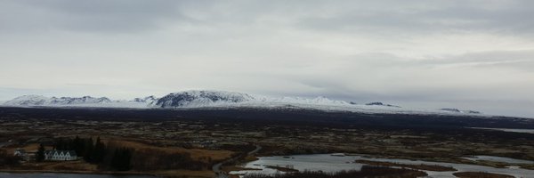 JoolieGray Profile Banner