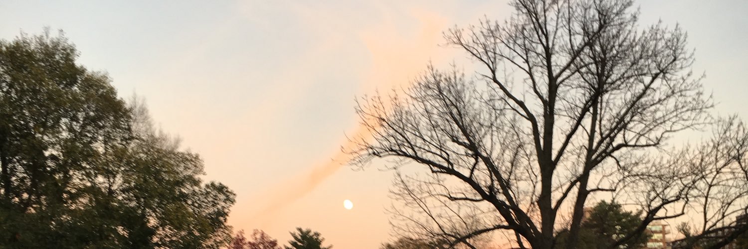 BareBranches's profile banner image