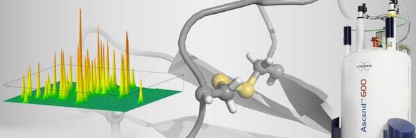 proteinfoundry Profile Banner