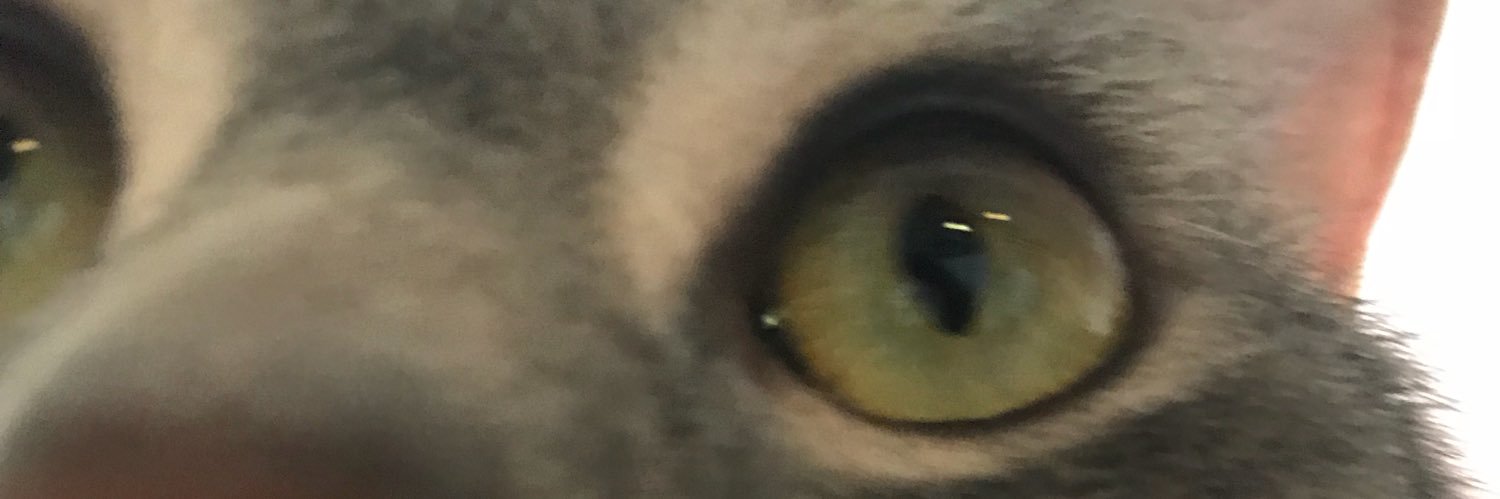 morganbrant's profile banner image