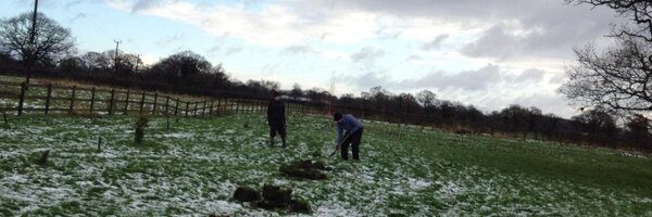 MaxonianMist Profile Banner