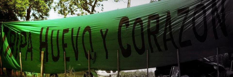 THCFC's profile banner image