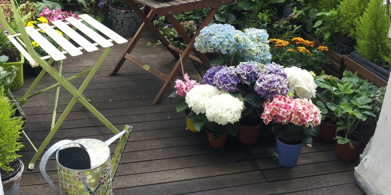 claire de soras banner