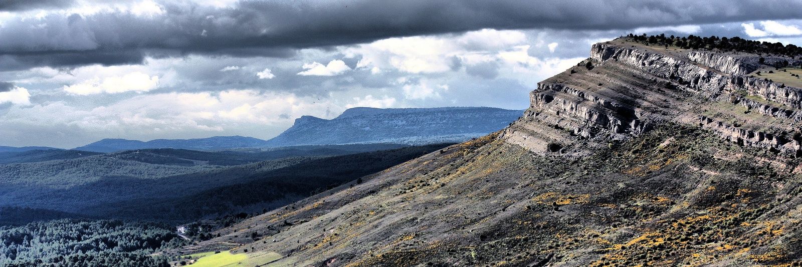 Red Comarca Pinares banner