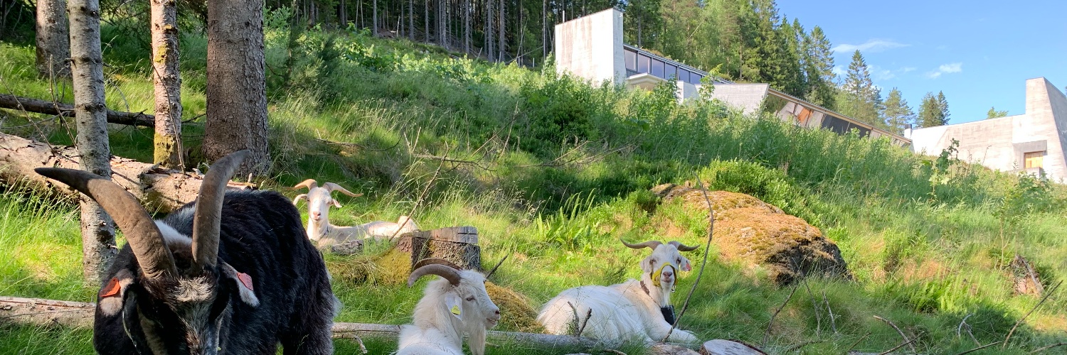 Olav Øyehaug Opsvik banner