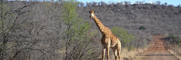 Scott_Warren1 Profile Banner