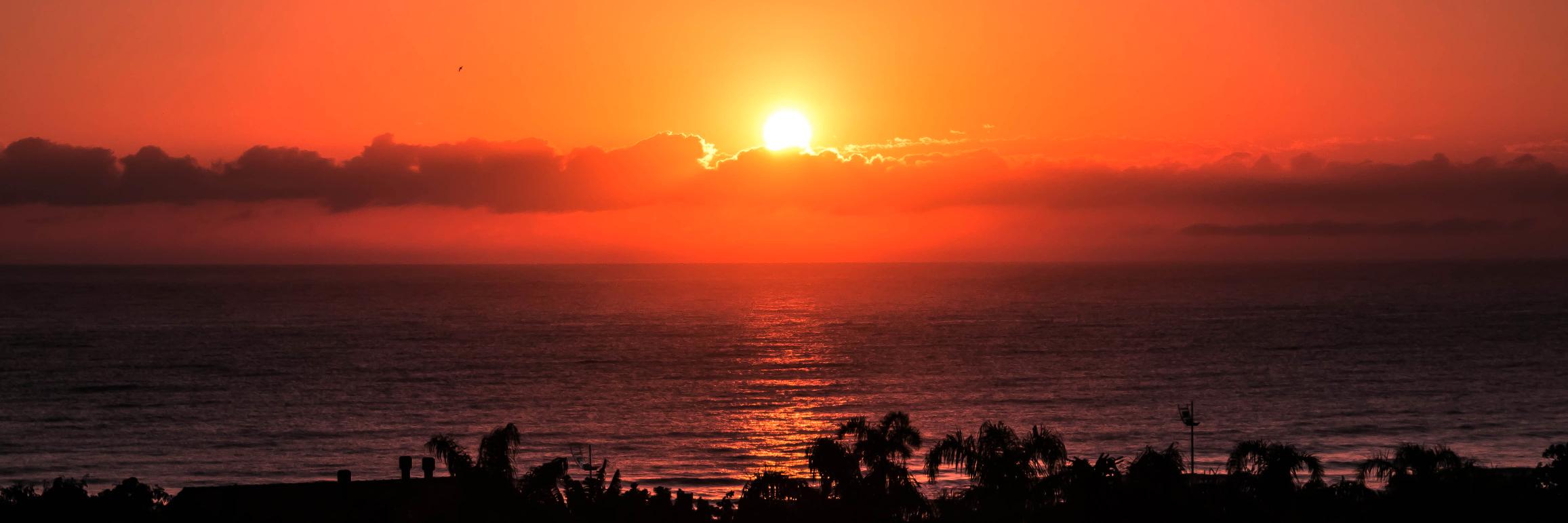 frankabreu's profile banner image