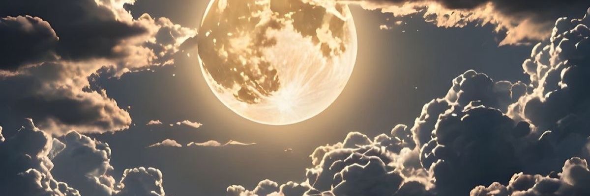 AC3DX's profile banner image