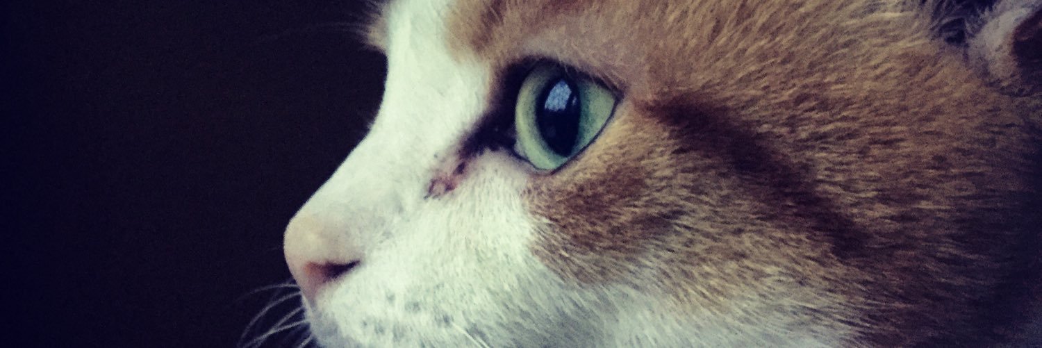 lugenhimer83's profile banner image