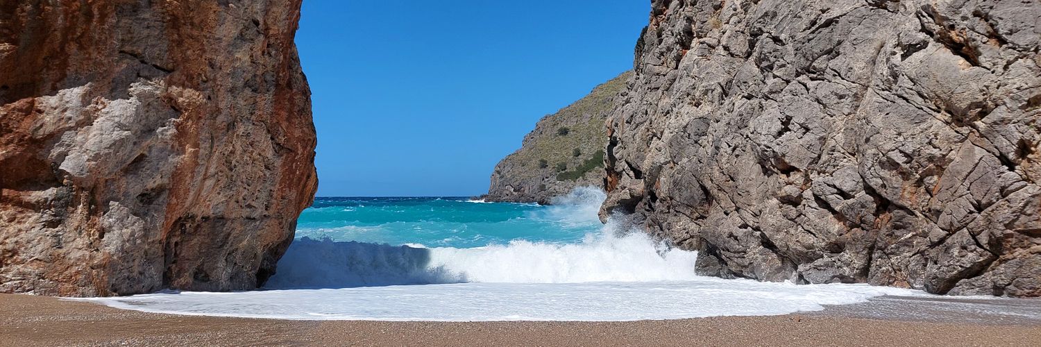 Steph Mackenzie banner