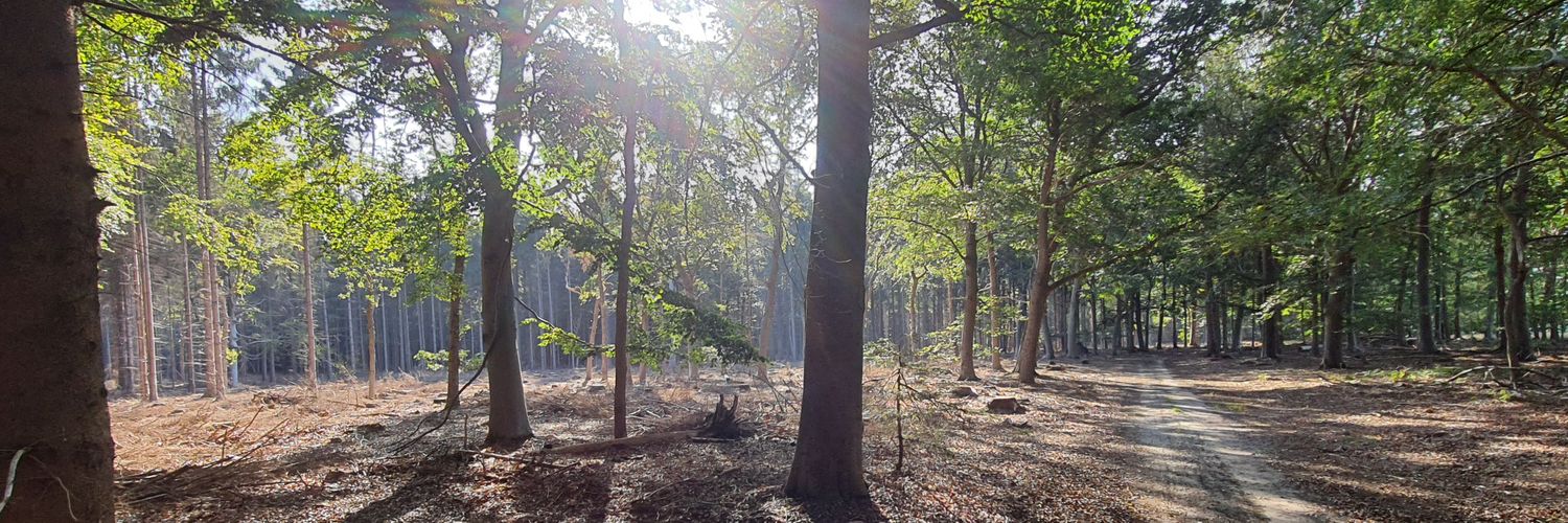 André Wijnstra banner