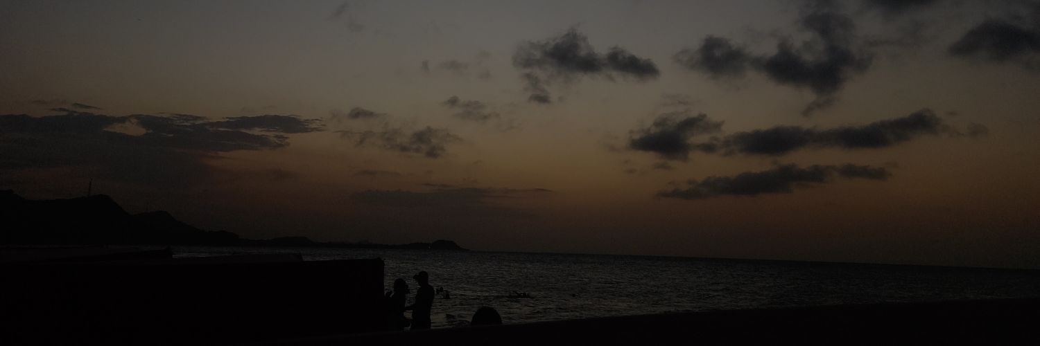 alosoyAnaa's profile banner image