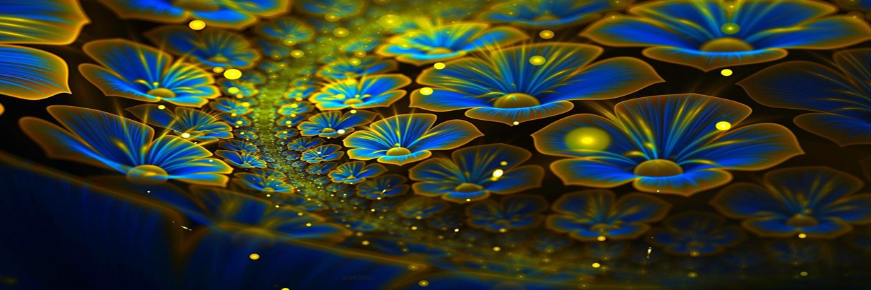 ScottDucey1's profile banner image