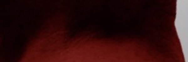 screamau Profile Banner