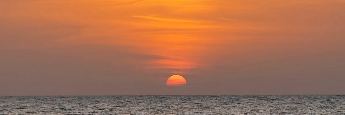 sonolev's profile banner image