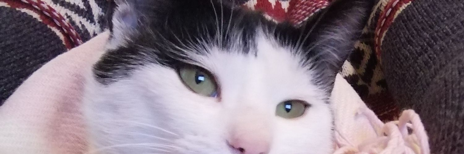 __stewy_'s profile banner image