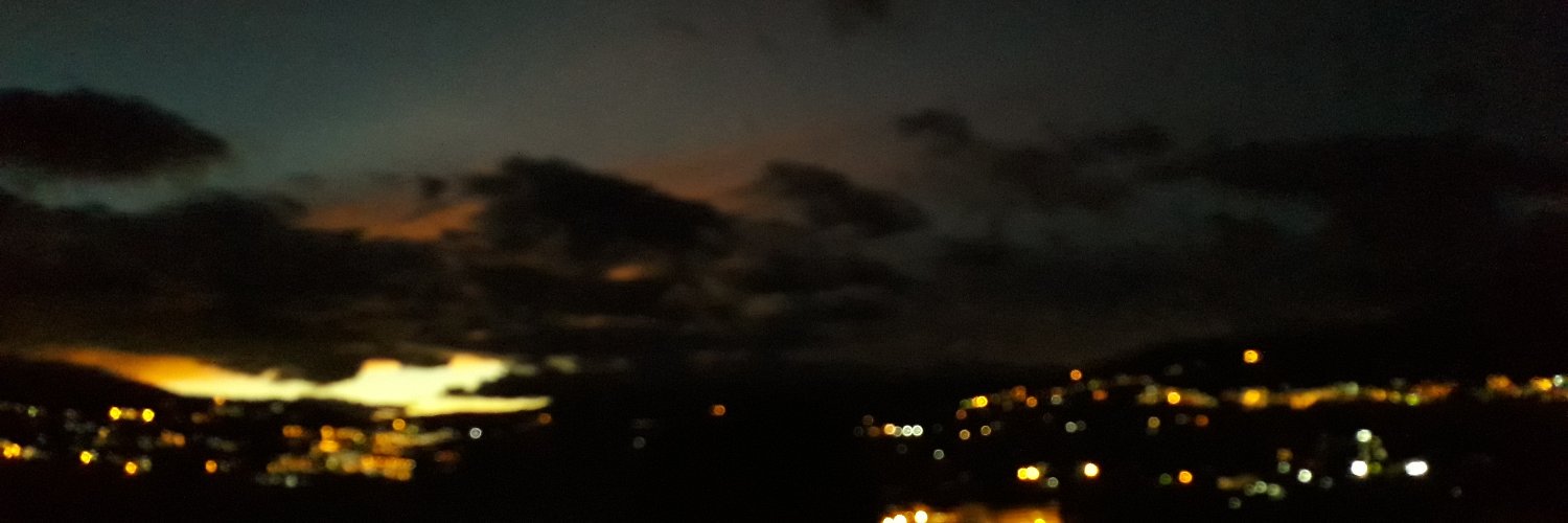 nlsoncarrillo's profile banner image
