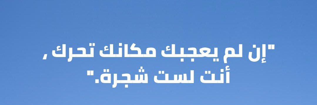 waelfh's profile banner image