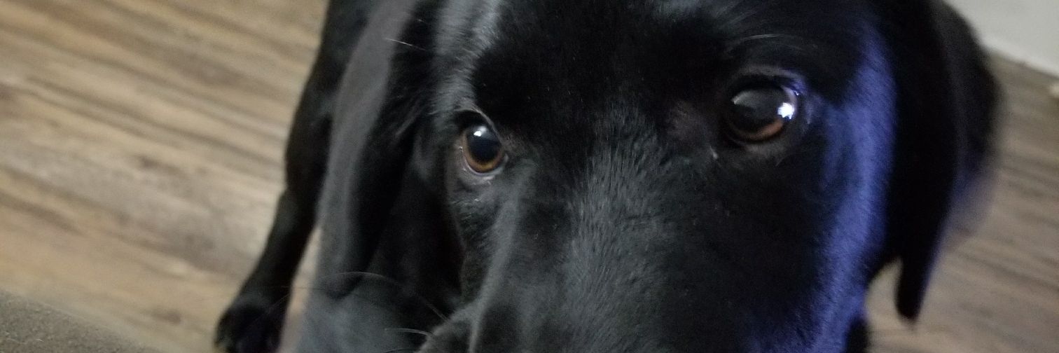 MickMac65's profile banner image
