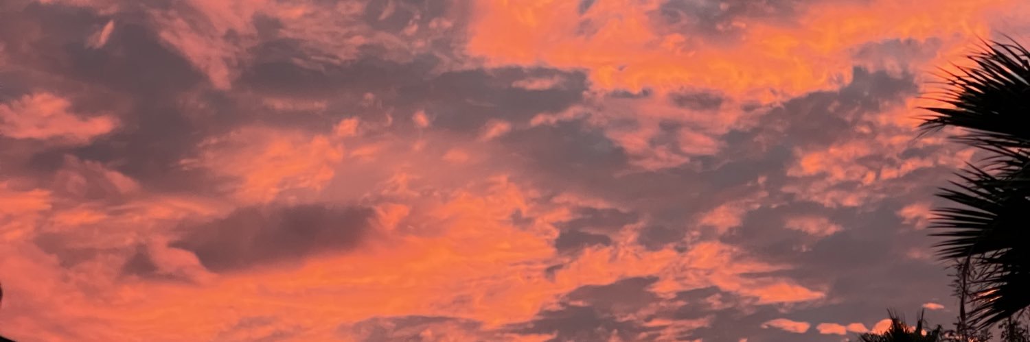 TheLeeAnneFord's profile banner image