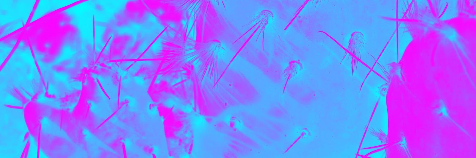 spraymond78's profile banner image