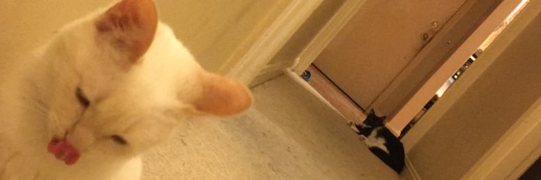 OMGWtfThomas's profile banner image